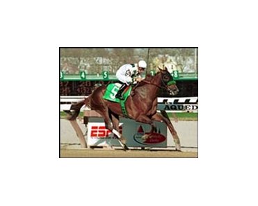 Congaree, winning Saturday's Wood Memorial.