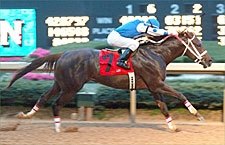 Smarty Jones Answers All in Rebel Win Smarty Jones Answers All in Rebel Win