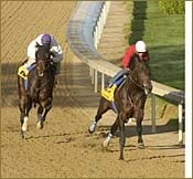 Sun Shines on California Horses Working at Churchill Downs Sun Shines on California Horses Working at Churchill Downs