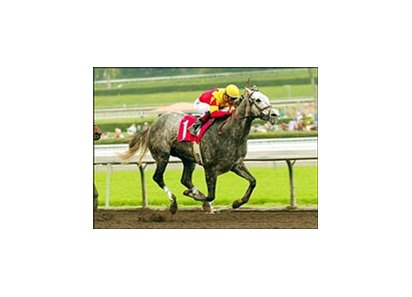 Fusaichi Rock Star flies to the wire in the San Vicente Stakes, Sunday at Santa Anita.