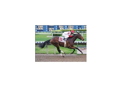 Badge of Silver cruises to win in the Risen Star Stakes Sunday at the Fair Grounds.