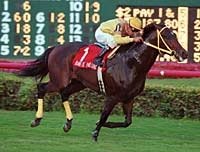 Band Is Passing Seeks Repeat in Appleton Handicap Band Is Passing Seeks Repeat in Appleton Handicap