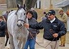 Keeneland November Sale