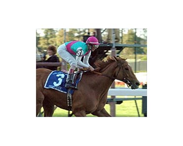 Sightseek continues Belmont success with stunning victory in Sunday's Ruffian Handicap.