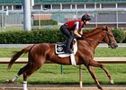 Dullahan Turns in Swift 5F Drill at Churchill Dullahan Turns in Swift 5F Drill at Churchill