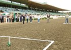 John Placzankis threw a perfect ringer and won first prize of $1 million in Santa Anita's annual St. Patrick's Day Horseshoe Pitch contest.