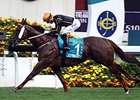Able Friend Takes Aim at Royal Ascot Opener Able Friend Takes Aim at Royal Ascot Opener