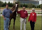 Kitten's Joy retired to Ramsey Farm after exam reveals knee damage.