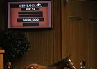 Hip 12, a daughter of Playful Act (IRE) who sold for $850,000, was one of the highlights of the first morning of the sale.