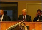 Awesome Again filly, sold for record price at Barretts sale.