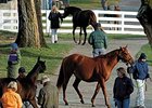 Steroid Policy Implemented at Sales Steroid Policy Implemented at Sales