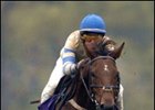 McDynamo seeks a repeat of this victory in the 2005 Breeders' Cup Steeplechase.