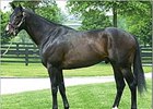Yonaguska Weanling Tops Sunday Keeneland Session Yonaguska Weanling Tops Sunday Keeneland Session