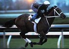 Friesan Fire in the stretch of his one-mile workout at Keeneland April 19.