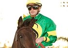 Midnight Ballet is the first stakes winner for Midnight Lute.