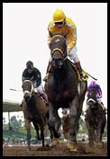 McCarron Takes All-Star Jockey Championship McCarron Takes All-Star Jockey Championship