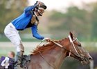2007 Breeders' Cup Classic Winner Curlin