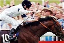 Lameness Knocks Euro Star Motivator Out of Breeders' Cup Turf Lameness Knocks Euro Star Motivator Out of Breeders' Cup Turf