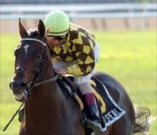 Shakespeare No Farce; Lowers Belmont Mark Shakespeare No Farce; Lowers Belmont Mark
