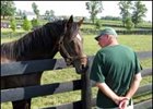 Old Friends' founder Michael Blowen confers with Swan's Way during fundraiser/homecoming weekend at Old Friends.