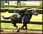 Sale 2-Year-Olds Turn In Fast Times at Keeneland Sale 2-Year-Olds Turn In Fast Times at Keeneland