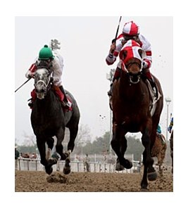 Friesan Fire leads all the way in the Louisiana Handicap.