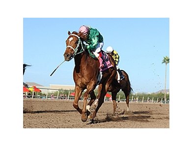 Turf Paradise racing