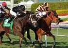 Little Mike in the 2011 Ft. Lauderdale.
<br><a target="blank" href="http://www.bloodhorse.com/horse-racing/photo-store?ref=http%3A%2F%2Fpictopia.com%2Fperl%2Fgal%3Fprovider_id%3D368%26ptp_photo_id%3D9361784%26ref%3Dstory">Order This Photo</a>