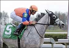 Asi Siempre Returns With Victory in Doubledogdare Asi Siempre Returns With Victory in Doubledogdare