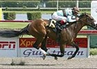 Birdstone, tops Steve Haskin's list of Derby contenders this week.