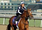 Zagora<br><a target="blank" href="http://photos.bloodhorse.com/BreedersCup/2012-Breeders-Cup/Works/26130247_gxH6nS#!i=2187190686&k=DxqSdZr">Order This Photo</a>