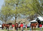 Keeneland Sale: These Juveniles Could Shine Keeneland Sale: These Juveniles Could Shine