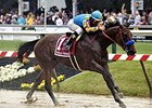 American Pharoah
<br><a target="blank" href="http://photos.bloodhorse.com/TripleCrown/2015-Triple-Crown/Preakness-Stakes-140/i-zB7qdBG">Order This Photo</a>