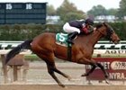Sugar Shake glides to an easy victory in the Turnback the Alarm.<br><a target="blank" href="http://www.bloodhorse.com/horse-racing/photo-store?ref=http%3A%2F%2Fpictopia.com%2Fperl%2Fgal%3Fprovider_id%3D368%26ptp_photo_id%3D2692735%26ref%3Dstory">Order This Photo</a>