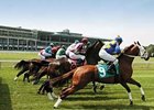 NJ Senate Committee OKs Racing Legislation NJ Senate Committee OKs Racing Legislation