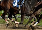 Belmont Park in Midst of Accreditation Review Belmont Park in Midst of Accreditation Review