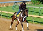 Watch Me Go was born on January 23, 2008, making him the oldest entrant in the 2011 Kentucky Derby.
<br><a target="blank" href="http://www.bloodhorse.com/horse-racing/photo-store?ref=http%3A%2F%2Fpictopia.com%2Fperl%2Fgal%3Fprovider_id%3D368%26ptp_photo_id%3D9508037%26ref%3Dstory">Order This Photo</a>