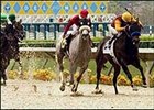 Opening day for Del Mar's new Polytrack synthetic racing surface.<br><a target="blank" href="http://www.bloodhorse.com/horse-racing/photo-store?ref=http%3A%2F%2Fpictopia.com%2Fperl%2Fgal%3Fprovider_id%3D368%26ptp_photo_id%3D1760397%26ref%3Dstory">Order This Photo</a>