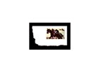 Seabiscuit Featured on Stamp Seabiscuit Featured on Stamp