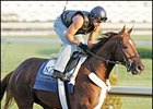 Noble Causeway will enter stud in 2008 at Crestwood Farm in Kentucky