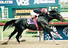 Artax in the Breeders' Cup.