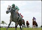 Champion Wait a While, won the Honey Fox Handicap in her 2007 debut.