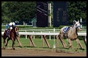 Include Takes On Gander at Meadowlands Include Takes On Gander at Meadowlands