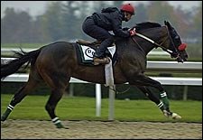 Lava Man, Other O'Neill Horses, Work at Keeneland Lava Man, Other O'Neill Horses, Work at Keeneland