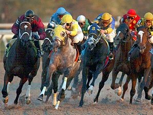 Like a Gem Stops Monashee's Streak Like a Gem Stops Monashee's Streak