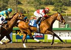 Potrero Grande winner Soul City Slew will try to add the Los Angeles Handicap to his resume.<br><a target="blank" href="http://www.bloodhorse.com/horse-racing/photo-store?ref=http%3A%2F%2Fpictopia.com%2Fperl%2Fgal%3Fprovider_id%3D368%26ptp_photo_id%3D7980555%26ref%3Dstory">Order This Photo</a>