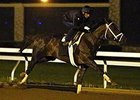 Carpe Diem works at Keeneland April 25.