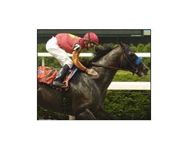 Woke Up Dreamin wakes up a winner in the True North.