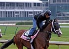 Ailalea faces 7 in the Dogwood Stakes.<br><a target="blank" href="http://www.bloodhorse.com/horse-racing/photo-store?ref=http%3A%2F%2Fpictopia.com%2Fperl%2Fgal%3Fprovider_id%3D368%26ptp_photo_id%3D8923652%26ref%3Dstory">Order This Photo</a>