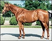 Carson City Leads Both General and 2-Year-Olds List Carson City Leads Both General and 2-Year-Olds List